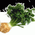 Ţelina-aliment-şi-medicament Ţelina-aliment-şi-medicament