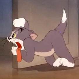 VIDEO – Tom si Jerry episodul 4