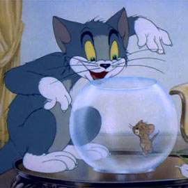 VIDEO – Tom si Jerry episodul 6