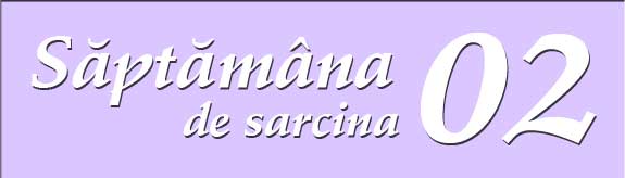Saptamana a doua de sarcina