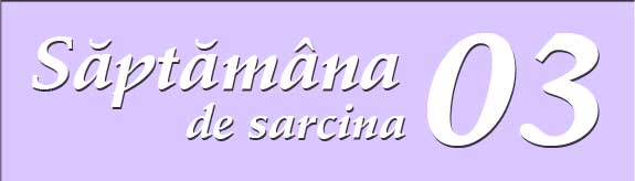 Saptamana a treia de sarcina