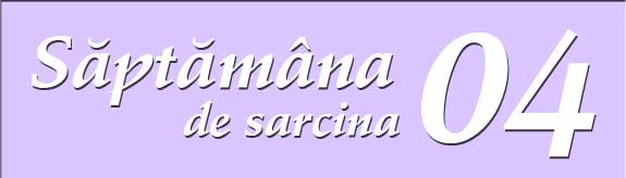 Saptamana a patra de sarcina
