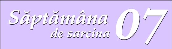 Saptamana a saptea de sarcina