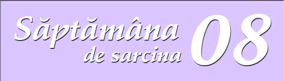 Saptamana a opta de sarcina