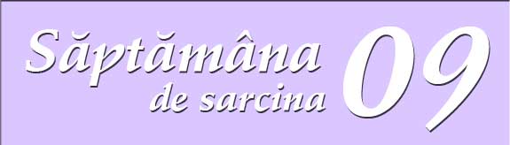 Saptamana a noua de sarcina