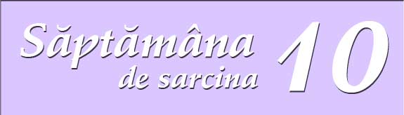 Saptamana a zecea de sarcina
