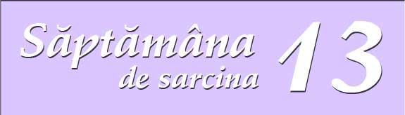 Saptamana 13 de sarcina