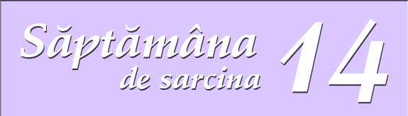 Saptamana 14 de sarcina