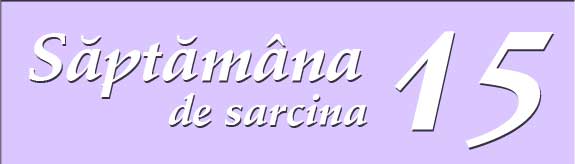 Saptamana 15 de sarcina