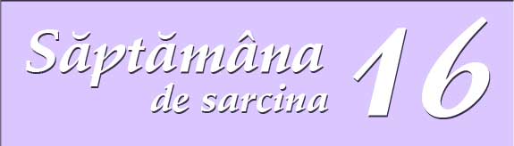 Saptamana 16 de sarcina