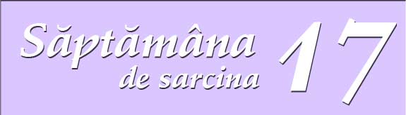 Saptamana 17 de sarcina
