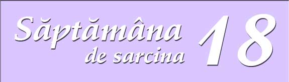 Saptamana 18 de sarcina