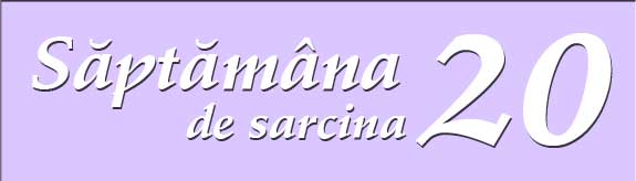 Saptamana 20 de sarcina