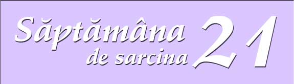 Saptamana 21 de sarcina