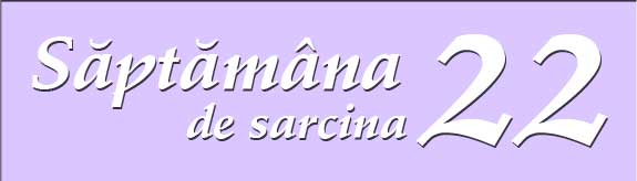 Saptamana 22 de sarcina