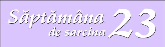 Saptamana 23 de sarcina