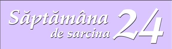 Saptamana 24 de sarcina