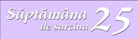 Saptamana 25 de sarcina