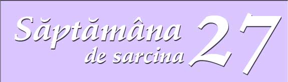 Saptamana 27 de sarcina
