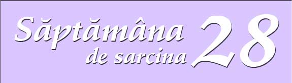 Saptamana 28 de sarcina