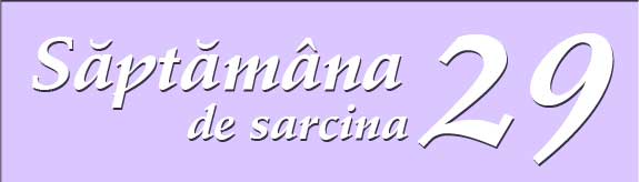 Saptamana 29 de sarcina