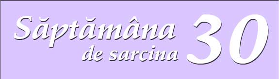 Saptamana 30 de sarcina