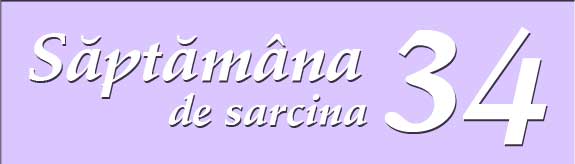 Saptamana 34 de sarcina
