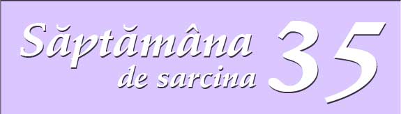 Saptamana 35 de sarcina