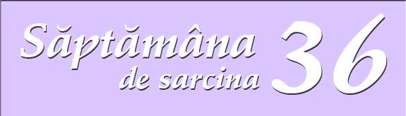 Saptamana 36 de sarcina