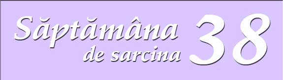 Saptamana 38 de sarcina