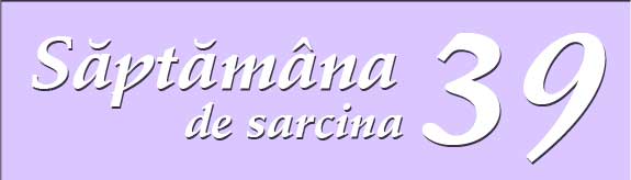 Saptamana 39 de sarcina