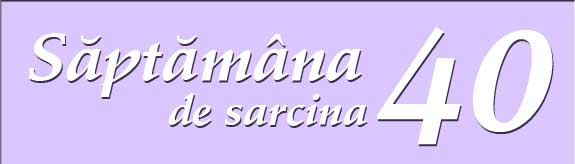 Saptamana 40 de sarcina