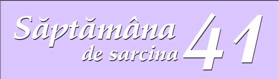 Saptamana 41 de sarcina