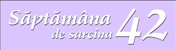 Saptamana 42 de sarcina