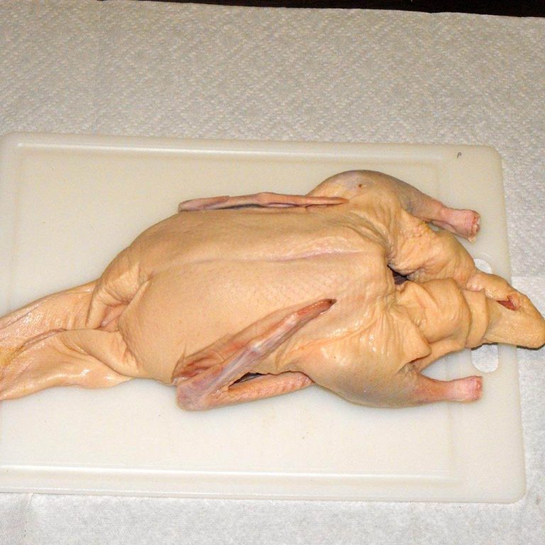 Rata chinezeasca