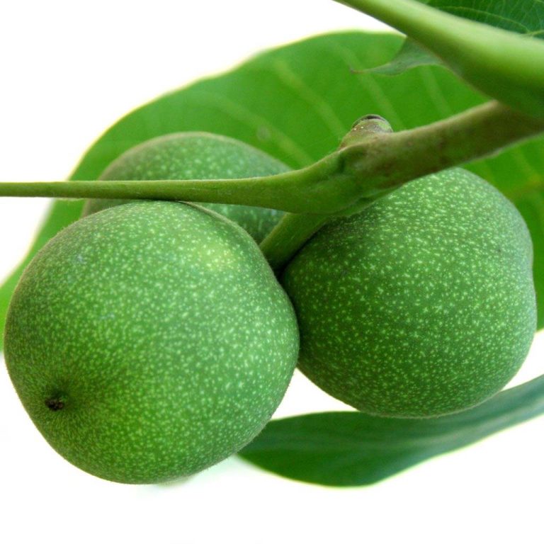 Dulceata de nuci verzi