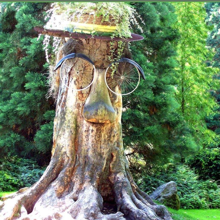 Arborii inalti pot provoca alergii pentru copii