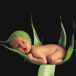 bebelus somn frunza (www.testq.com)