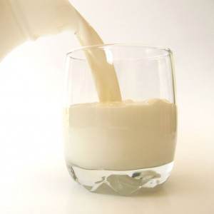 lapte (www.dairystore.com)