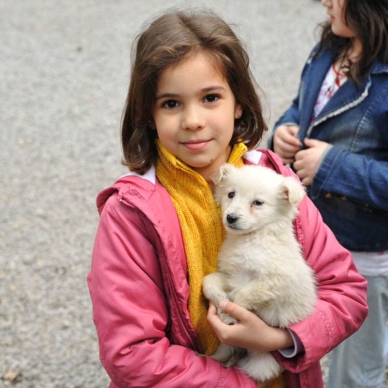 Campania „Adopta un caine” continua in parcul Ciresarii
