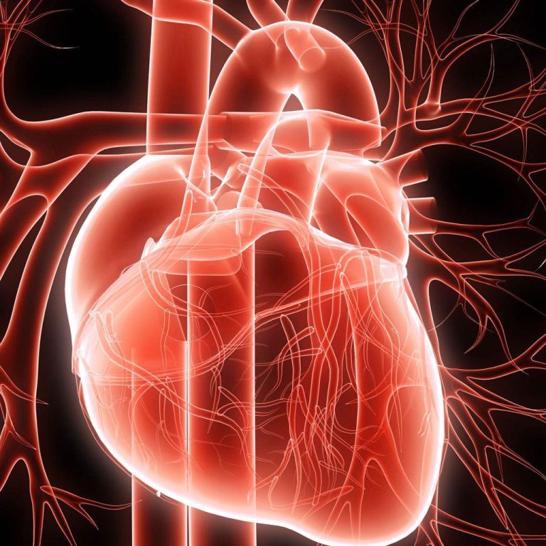 Revolutionar – Celulele stem trateaza bolile cardiace!