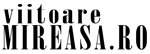 logo viitoare mireasa copy mic