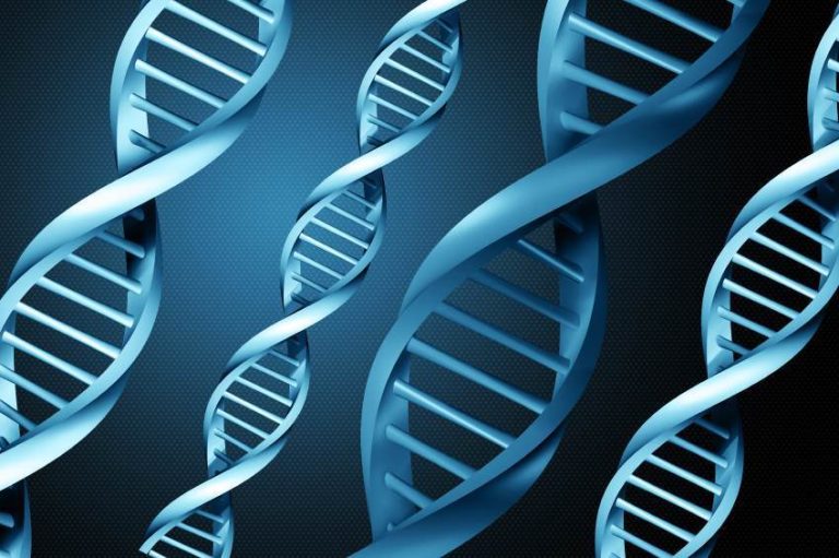 Mutatiile genetice, informatii cruciale pentru viitorii parinti