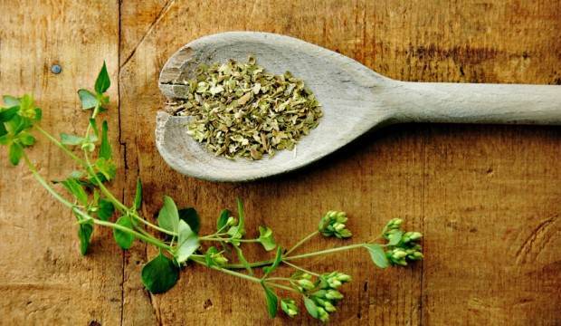 Oregano – un puternic antioxidant