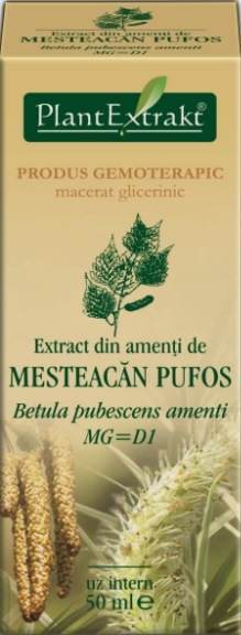 Utilizarea mestecenilor în gemoterapie