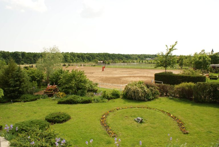 Club echitatie Arkadia Horse, Snagov