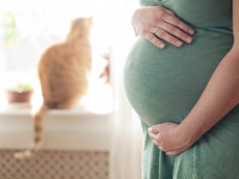 Ce sa stii despre toxoplasmoza