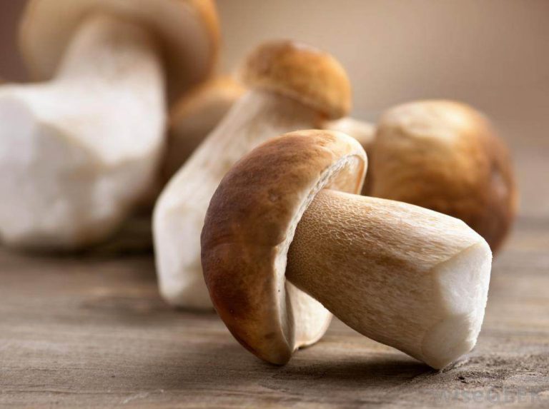 8 motive sa mananci mai multe ciuperci