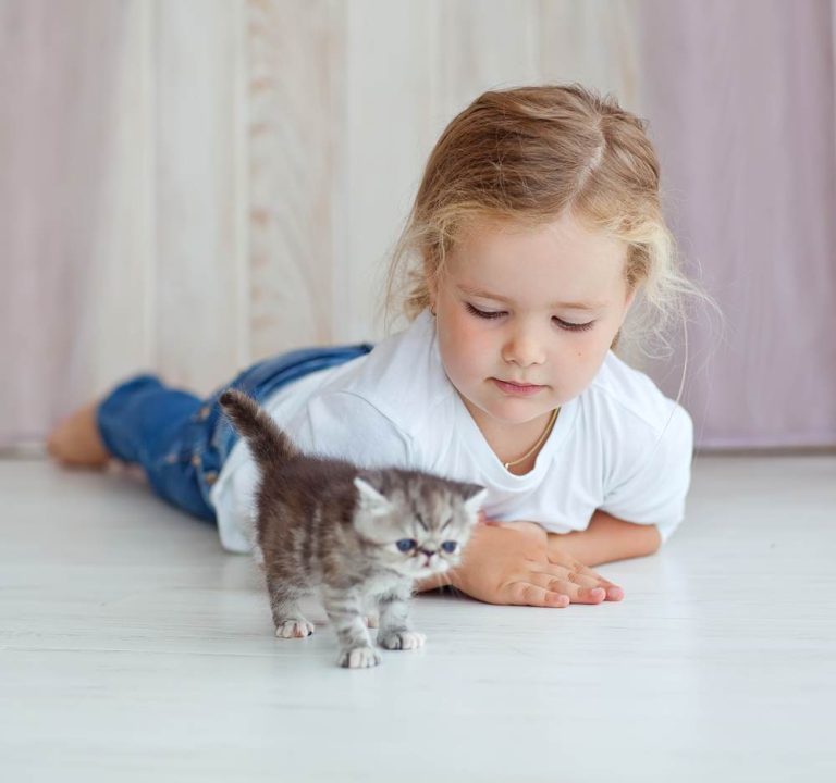 6 motive pentru care sa-i iei o pisica