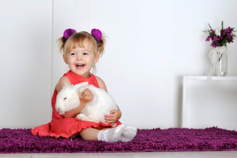 Terapia cu animale